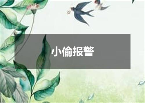 小偷报警