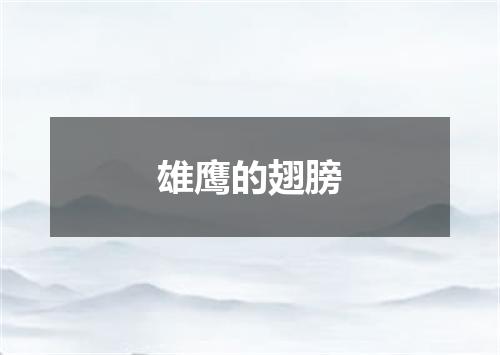 雄鹰的翅膀