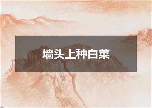 墙头上种白菜
