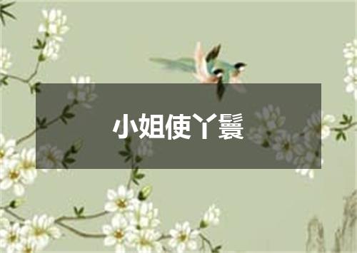 小姐使丫鬟