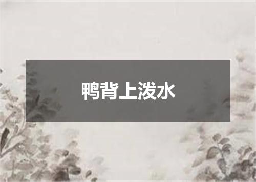 鸭背上泼水