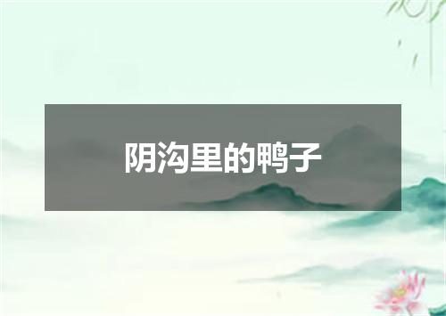 阴沟里的鸭子