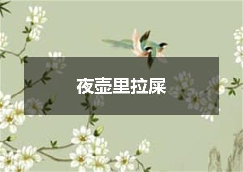 夜壶里拉屎