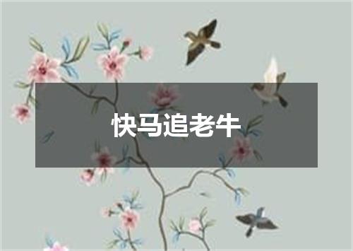 快马追老牛