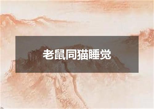 老鼠同猫睡觉