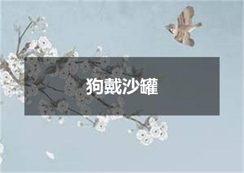 狗戴沙罐