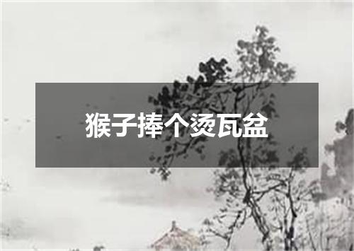 猴子捧个烫瓦盆
