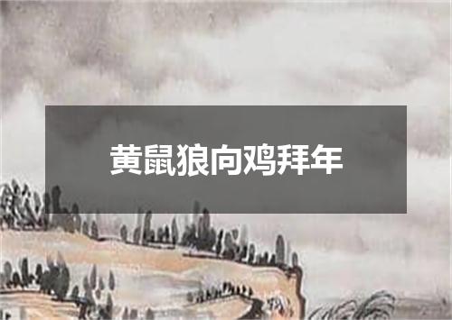 黄鼠狼向鸡拜年