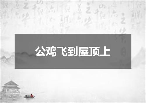 公鸡飞到屋顶上