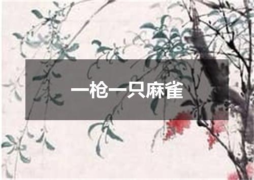 一枪一只麻雀