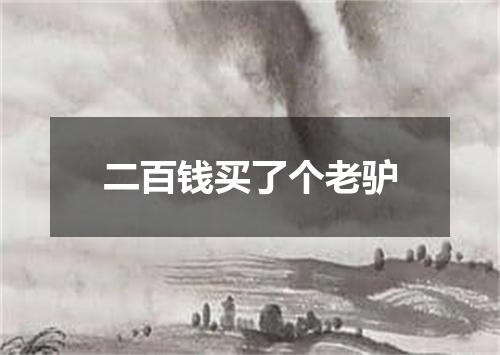 二百钱买了个老驴