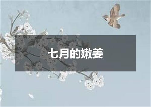 七月的嫩姜