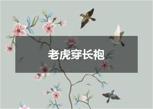 老虎穿长袍