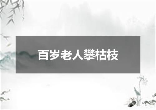 百岁老人攀枯枝