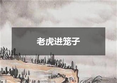 老虎进笼子