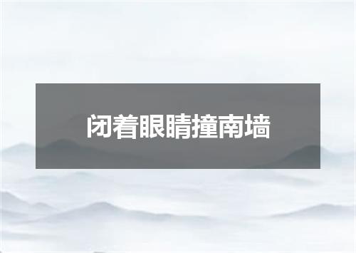 闭着眼睛撞南墙