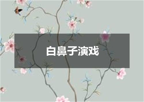 白鼻子演戏