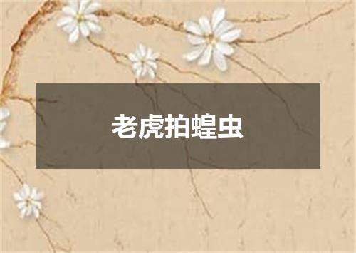 老虎拍蝗虫