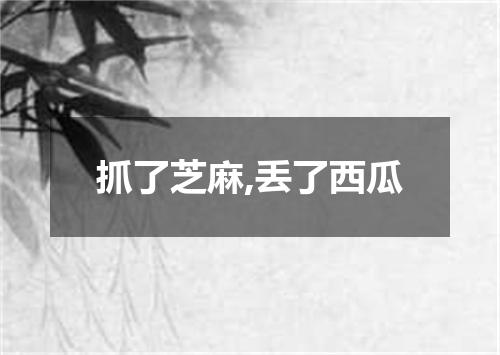抓了芝麻,丢了西瓜
