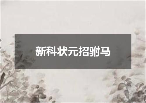新科状元招驸马