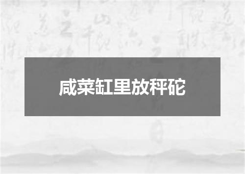 咸菜缸里放秤砣