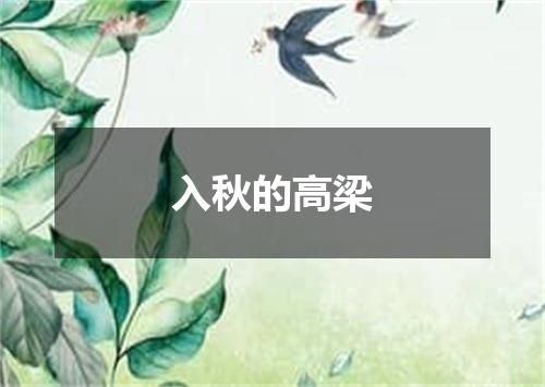 入秋的高梁