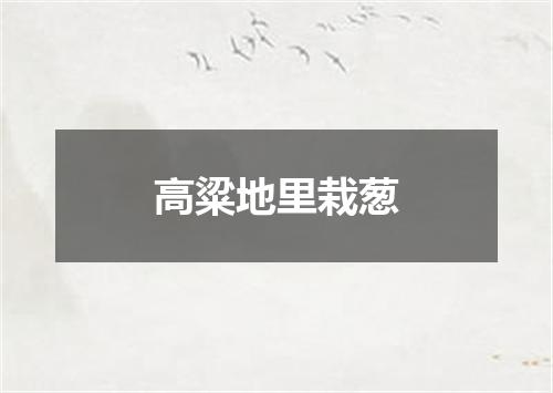 高粱地里栽葱