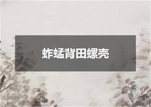 蚱蜢背田螺壳