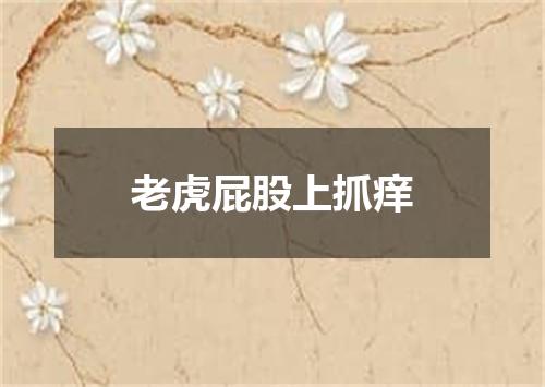 老虎屁股上抓痒