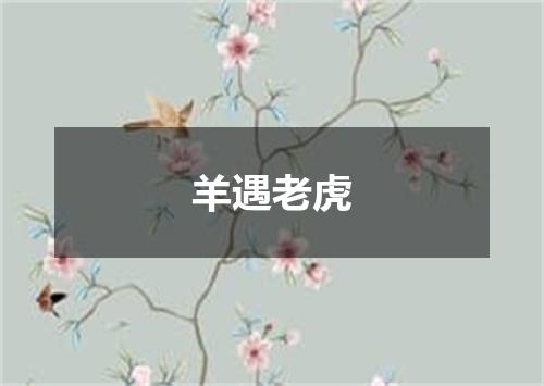 羊遇老虎