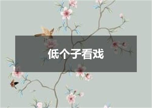 低个子看戏
