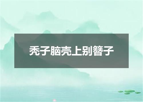 秃子脑壳上别簪子