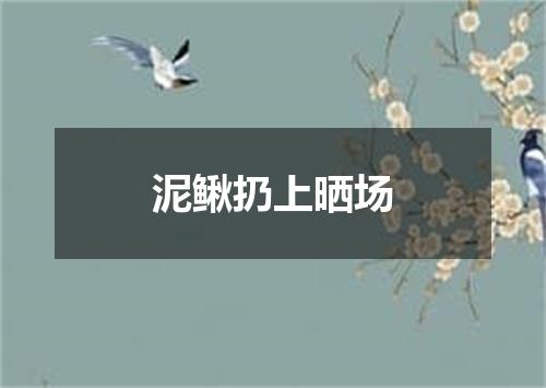 泥鳅扔上晒场