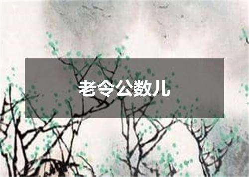 老令公数儿