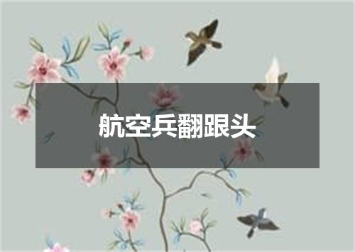 航空兵翻跟头