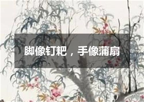 脚像钉耙，手像蒲扇