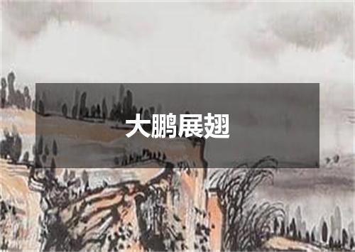 大鹏展翅