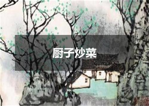 厨子炒菜