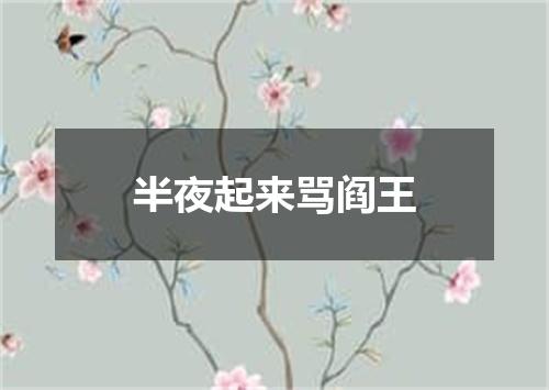 半夜起来骂阎王