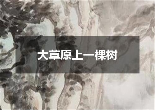 大草原上一棵树