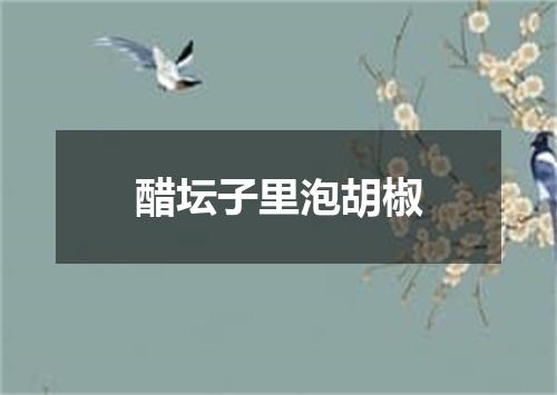 醋坛子里泡胡椒