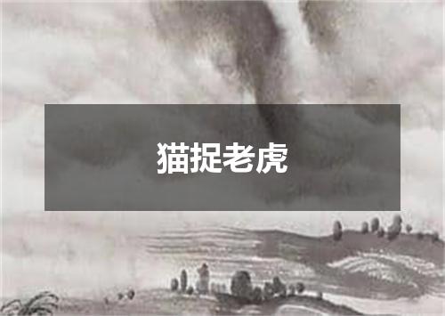 猫捉老虎