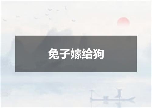 兔子嫁给狗