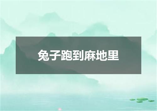 兔子跑到麻地里