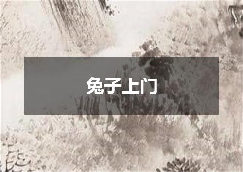 兔子上门