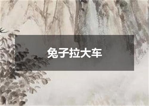 兔子拉大车