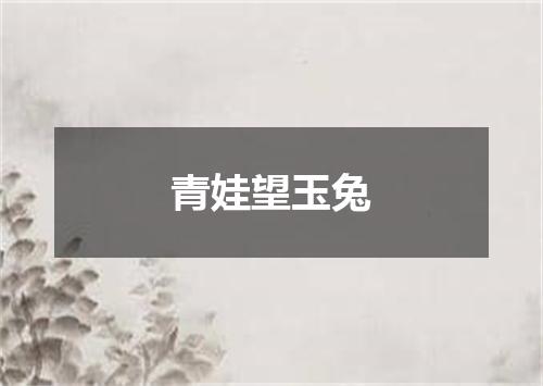 青娃望玉兔