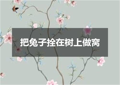 把兔子拴在树上做窝