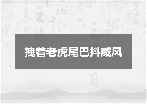 拽着老虎尾巴抖威风