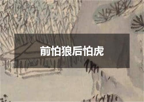 前怕狼后怕虎